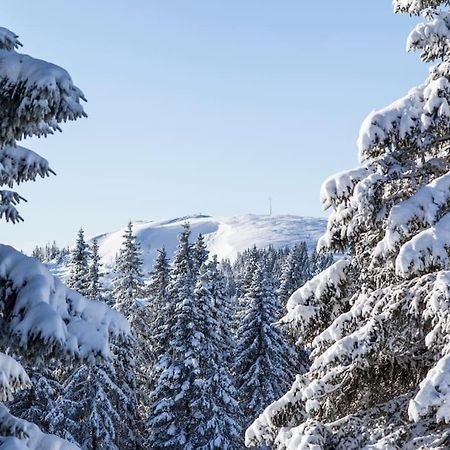 Waldblick Titisee ภายนอก รูปภาพ
