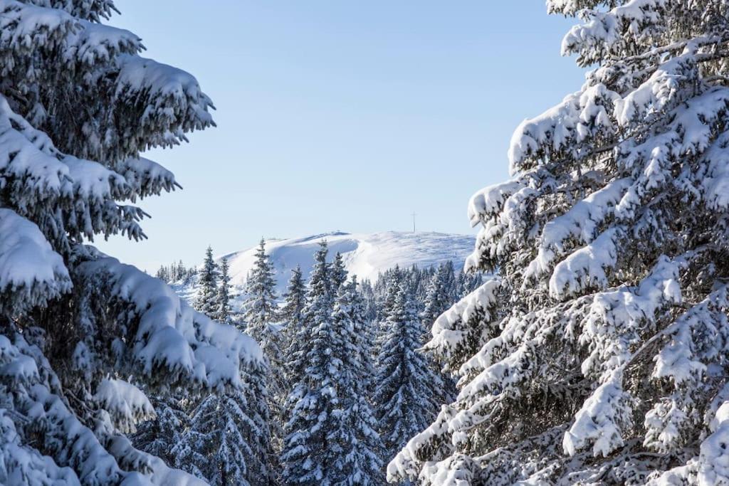 Waldblick Titisee ภายนอก รูปภาพ